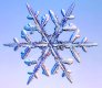 Velise_Snowtorm
